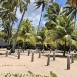 maragogi beach club - arthur turismo (8)